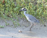 Valley Water Mill Park